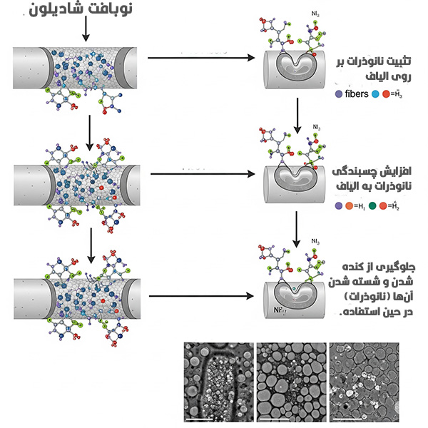 نانو آنتی باکتریال