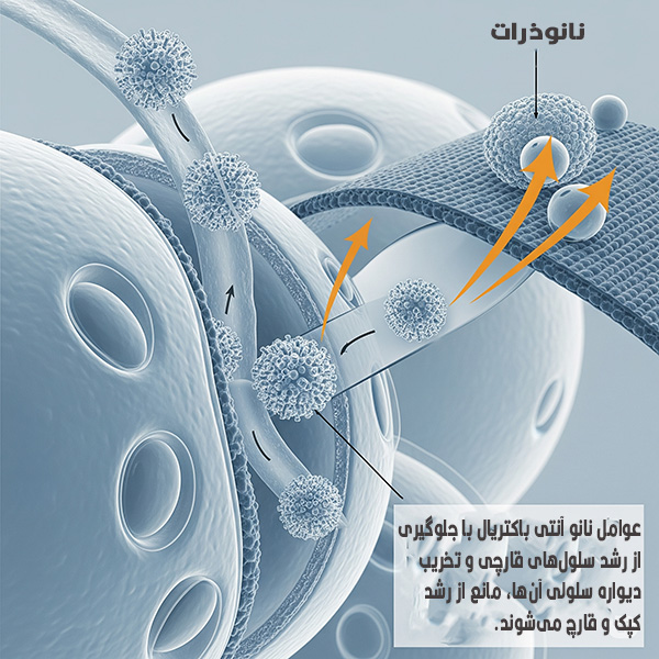 نانو آنتی باکتریال