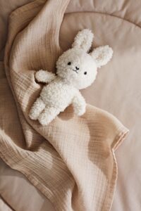 نوبافت شادیلون 8 IMG 1938